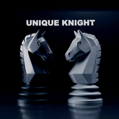 Unique Knight Chess Piece