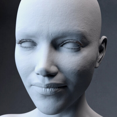 Val G8.1 Female 8K Normal Maps by Valaravans