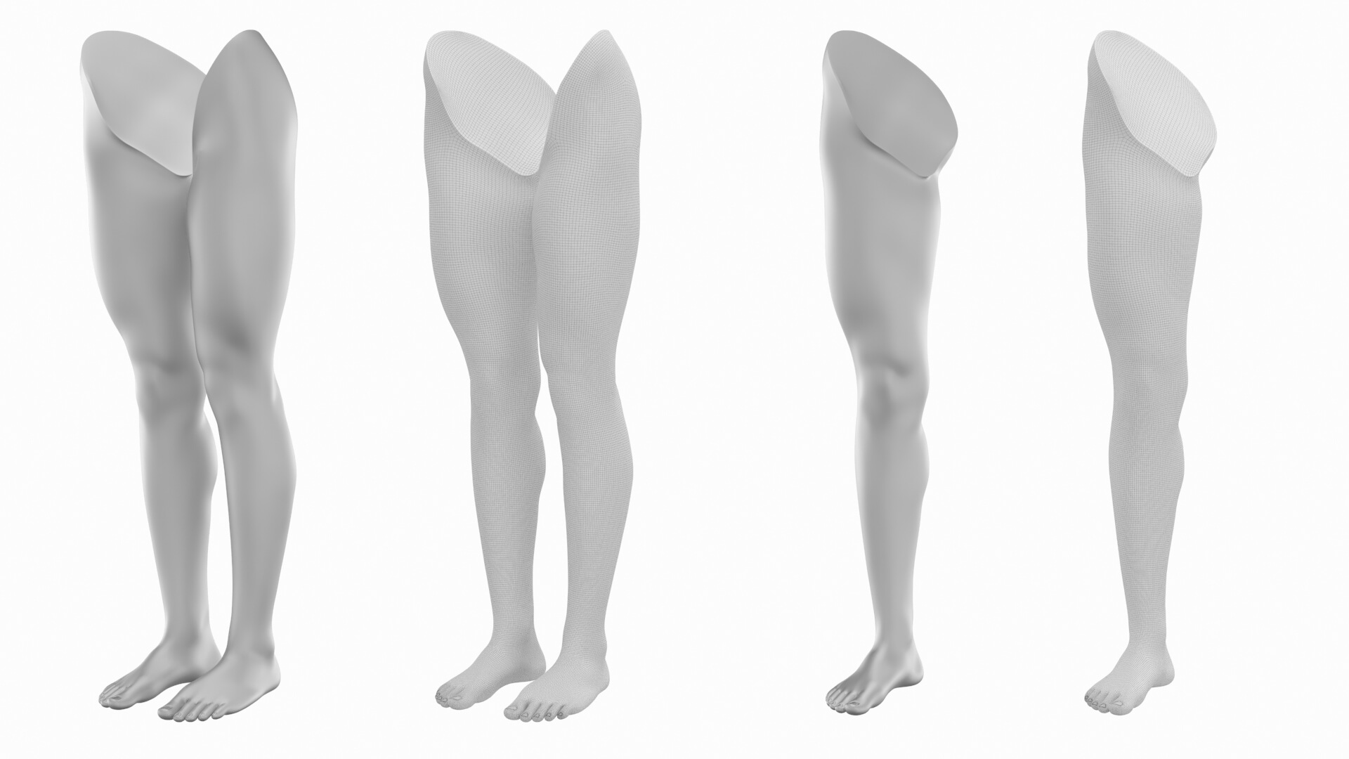 Female Legs Anatomical Base Mesh - 3D Model by Valerii-Kaliuzhnyi