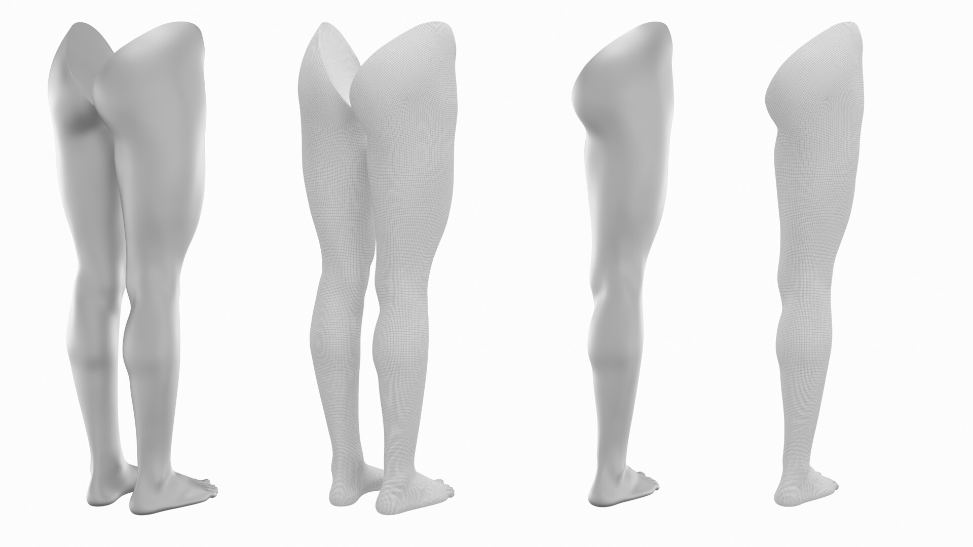 Female Legs Anatomical Base Mesh - 3D Model by Valerii-Kaliuzhnyi