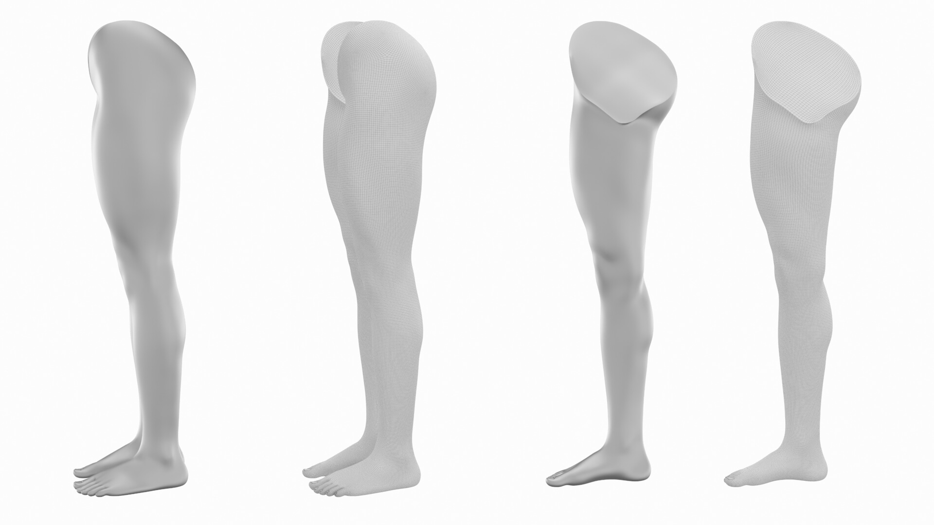 Female Legs Anatomical Base Mesh - 3D Model by Valerii-Kaliuzhnyi