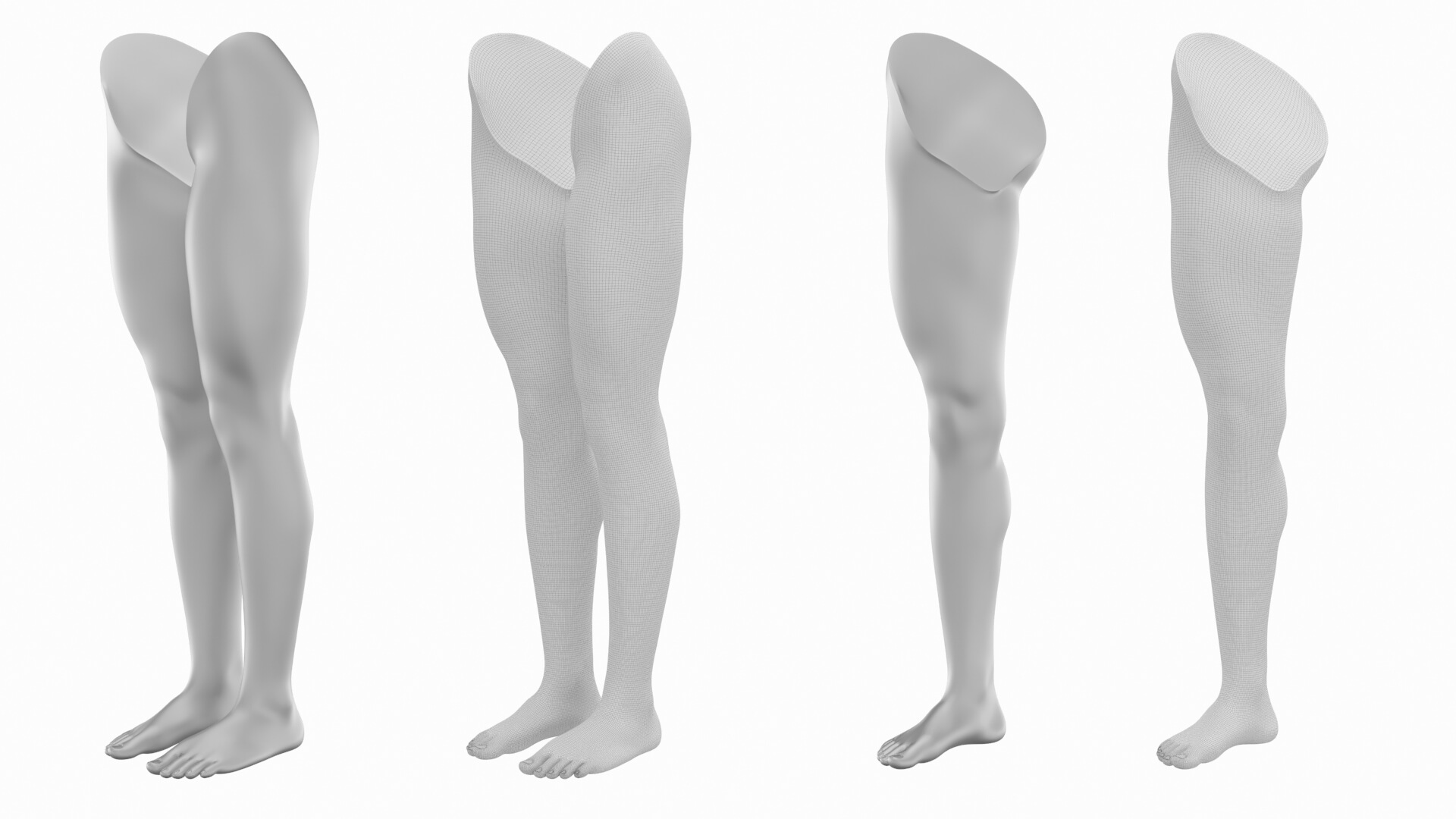 Female Legs Anatomical Base Mesh - 3D Model by Valerii-Kaliuzhnyi