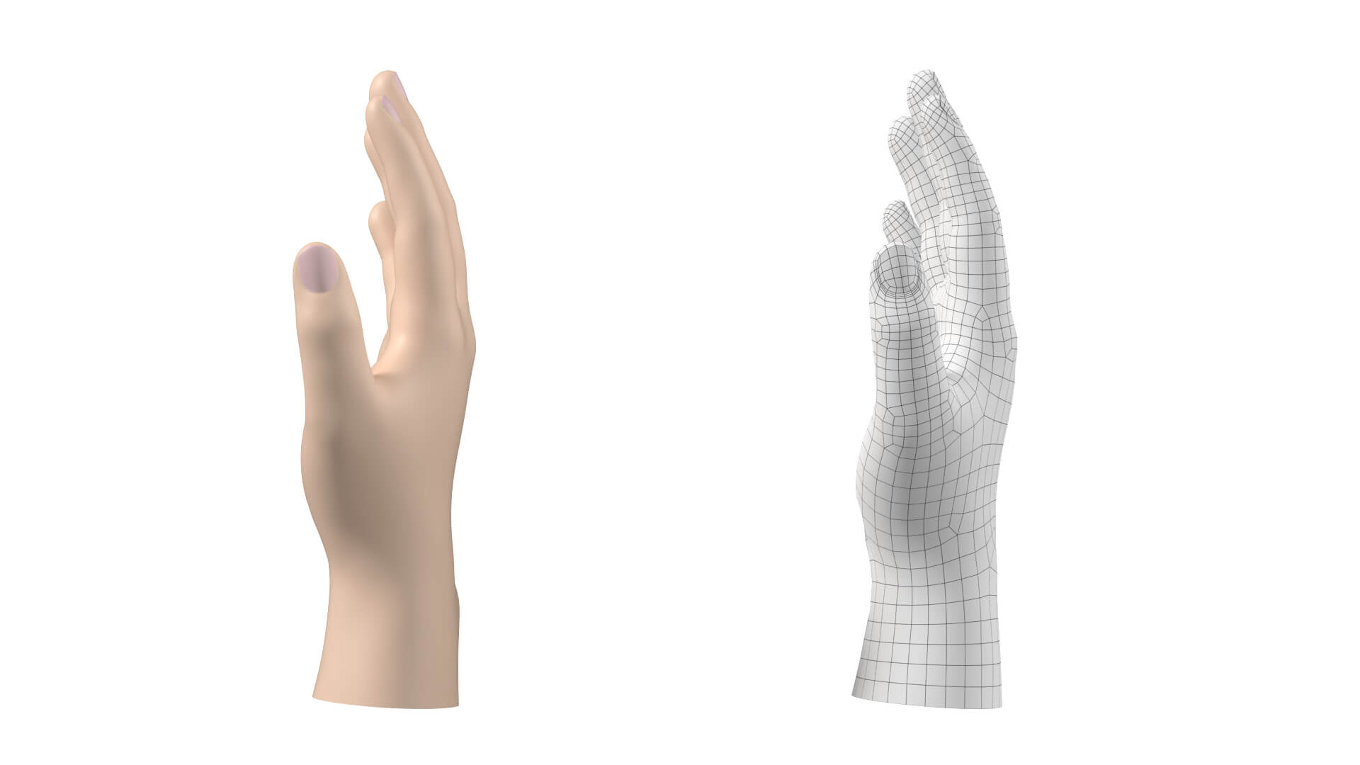 Male Hand Base Mesh 01 - 3D Model by Valerii-Kaliuzhnyi