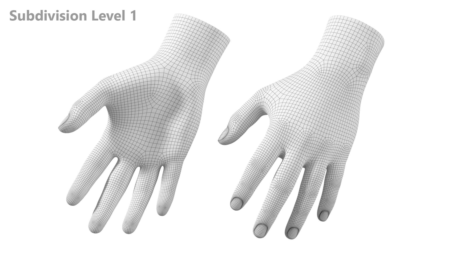 Male Hand Base Mesh 01 3D Model By Valerii Kaliuzhnyi