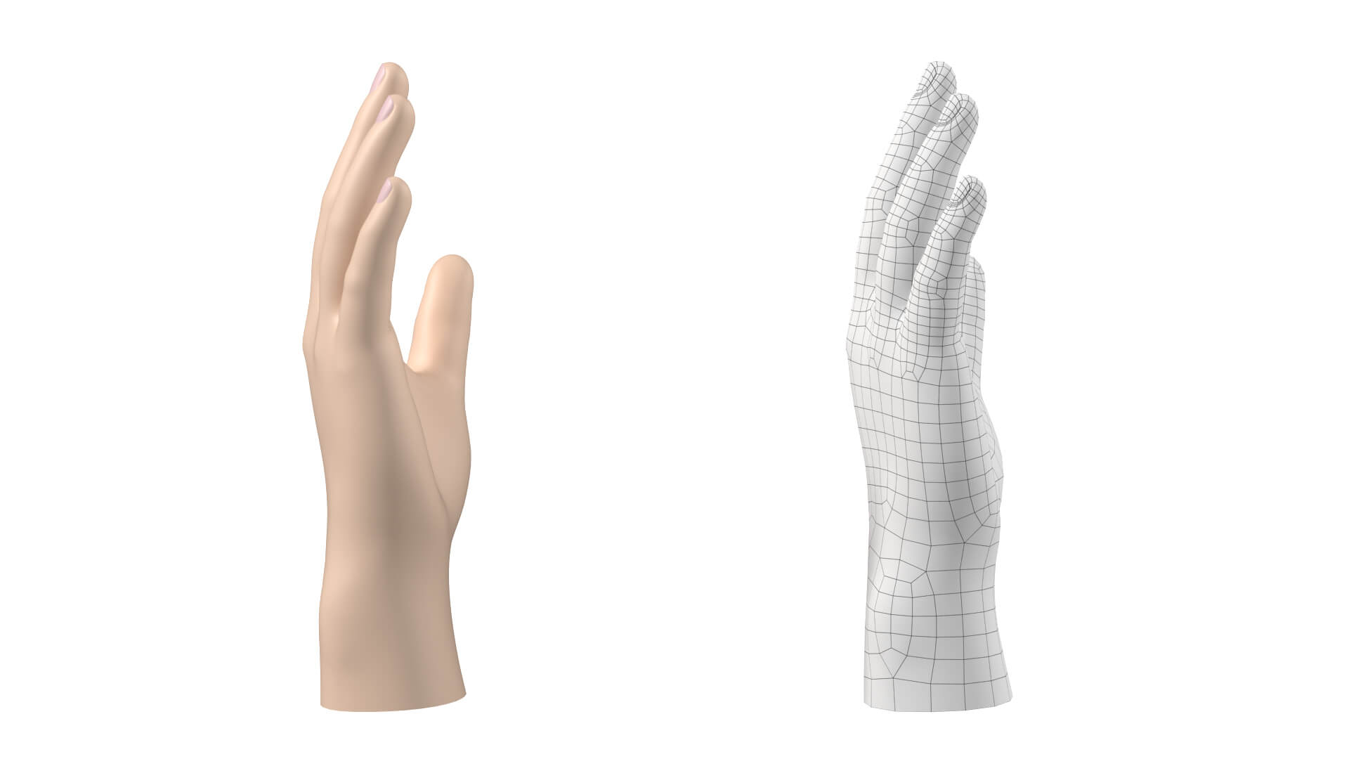 Male Hand Base Mesh 02 - 3D Model by Valerii-Kaliuzhnyi