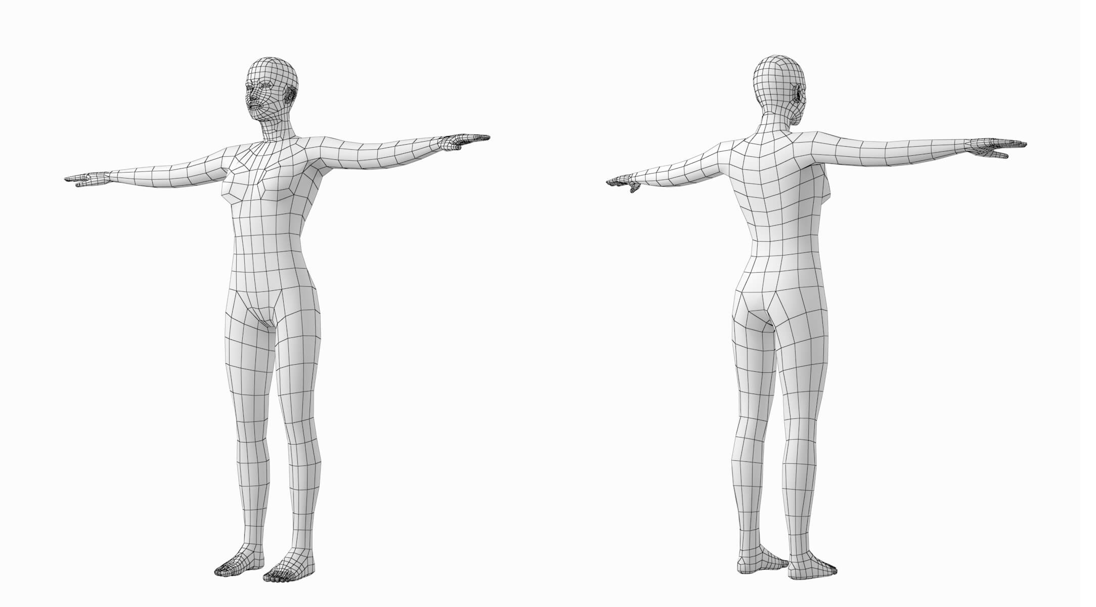 Natural Female and Male in TPose Base Mesh 3D Model by ValeriiKaliuzhnyi