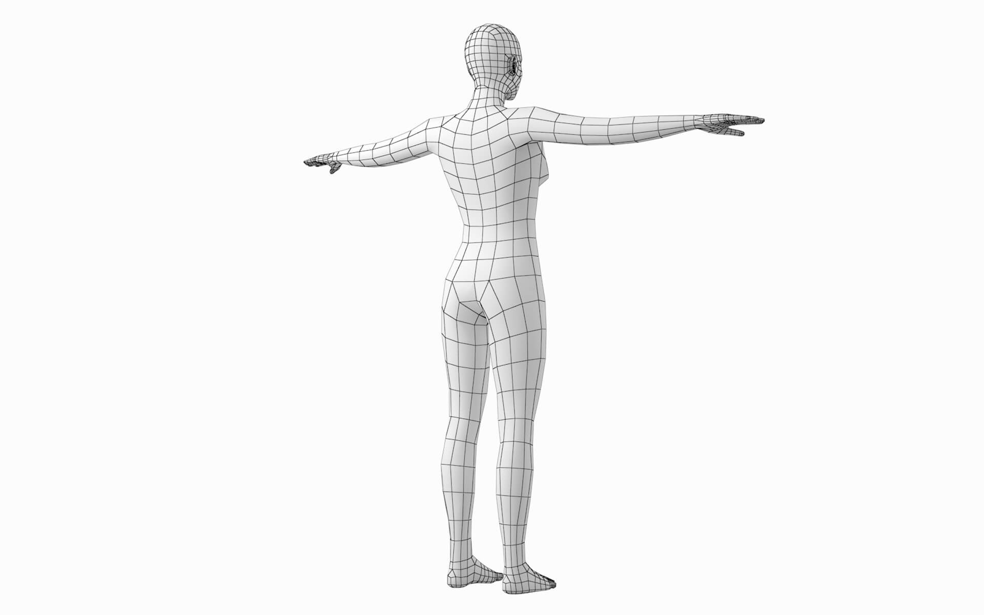 Natural Female and Male in TPose Base Mesh Bundle 3D Model by Valerii