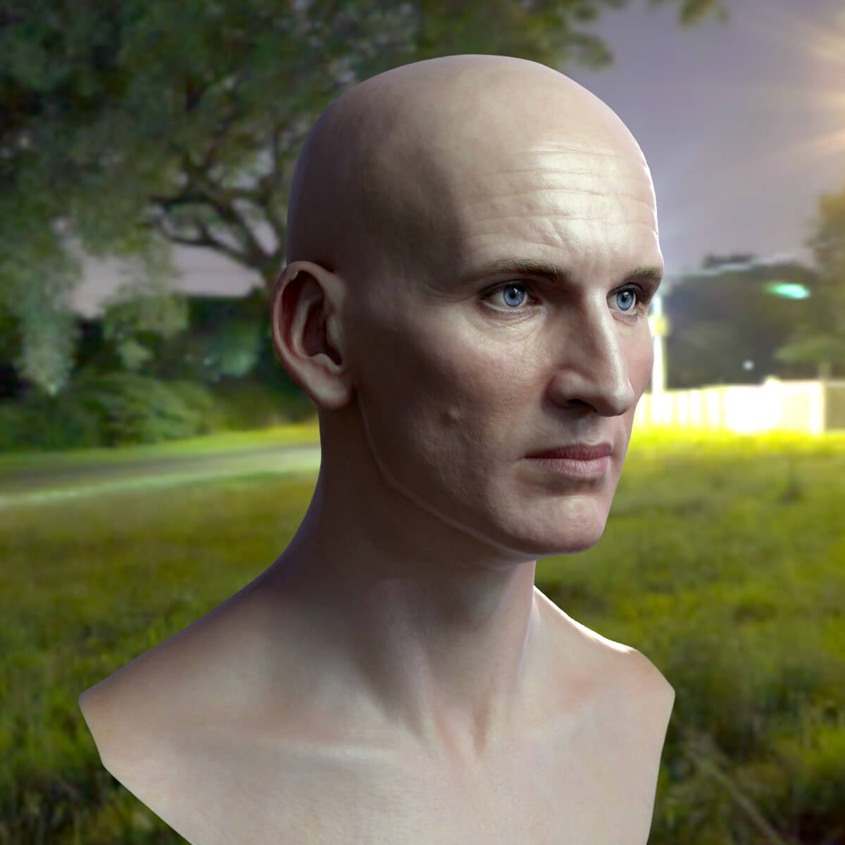 Christopher Eccleston Head - 3D Model by vefilanna