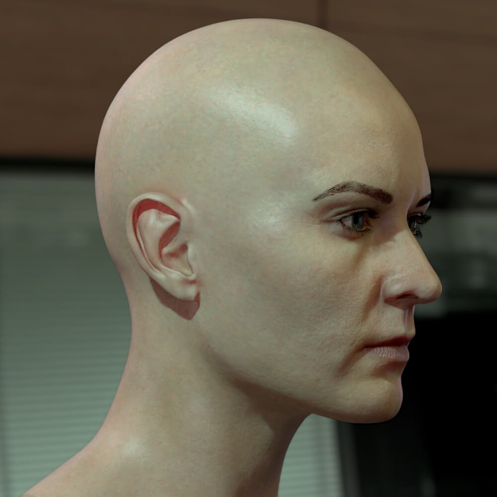 Woman Head v1 - 3D Model by vefilanna