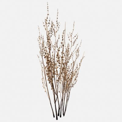 Grass Plant V2