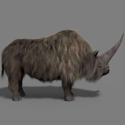 Wooly Elasmotherium Rhino