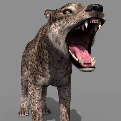 Andrewsarchus