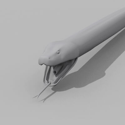 Burmese Python Snake Shape - 3D Model by Virtual creator