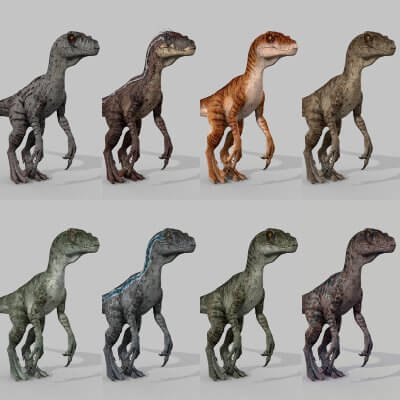 Extreme Raptor Collection - 8K