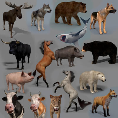 Farm and Forest Animal Pack
