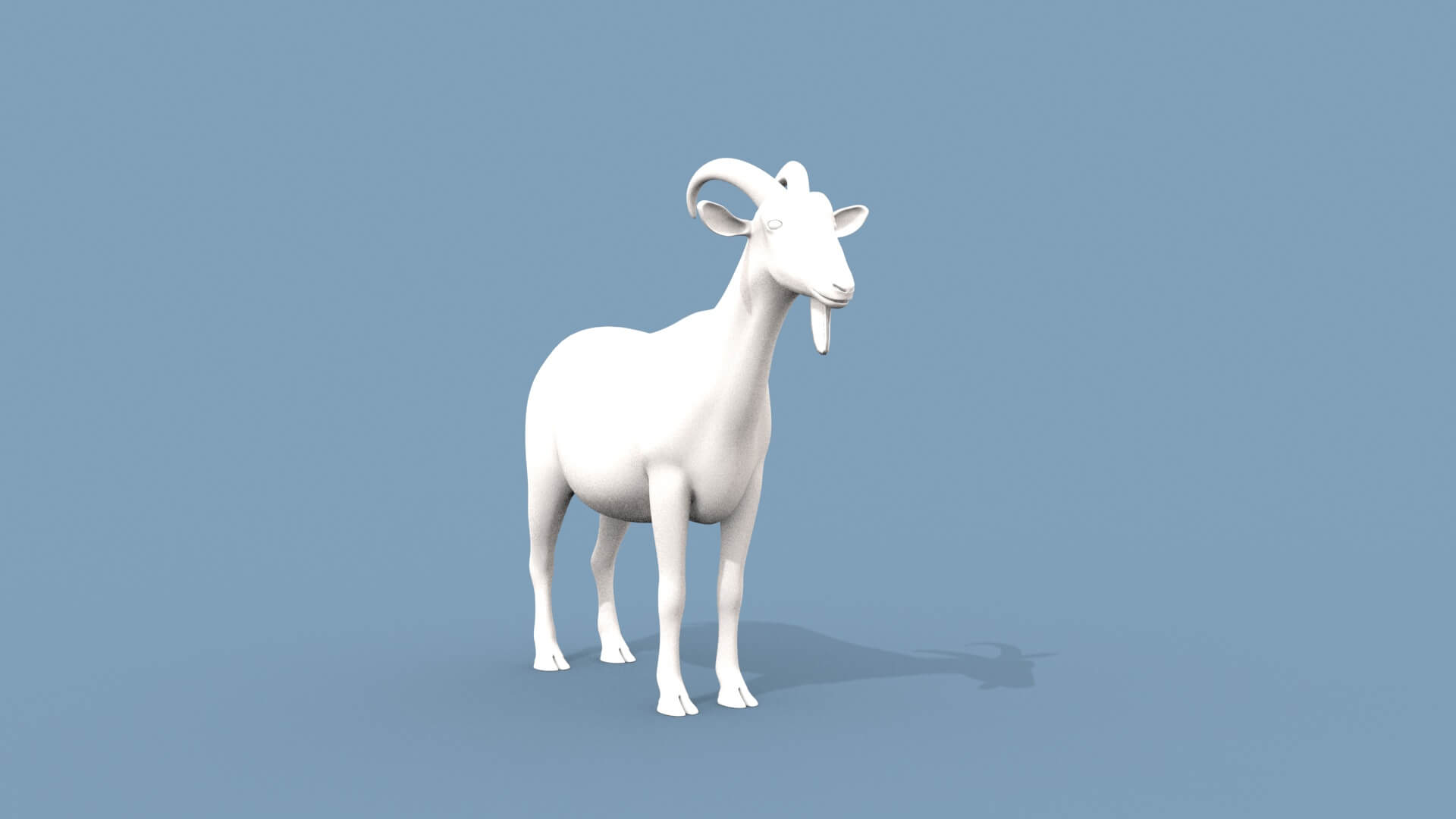 Goat Shape Goat Shape Gota - 3D Model by Virtual creator
