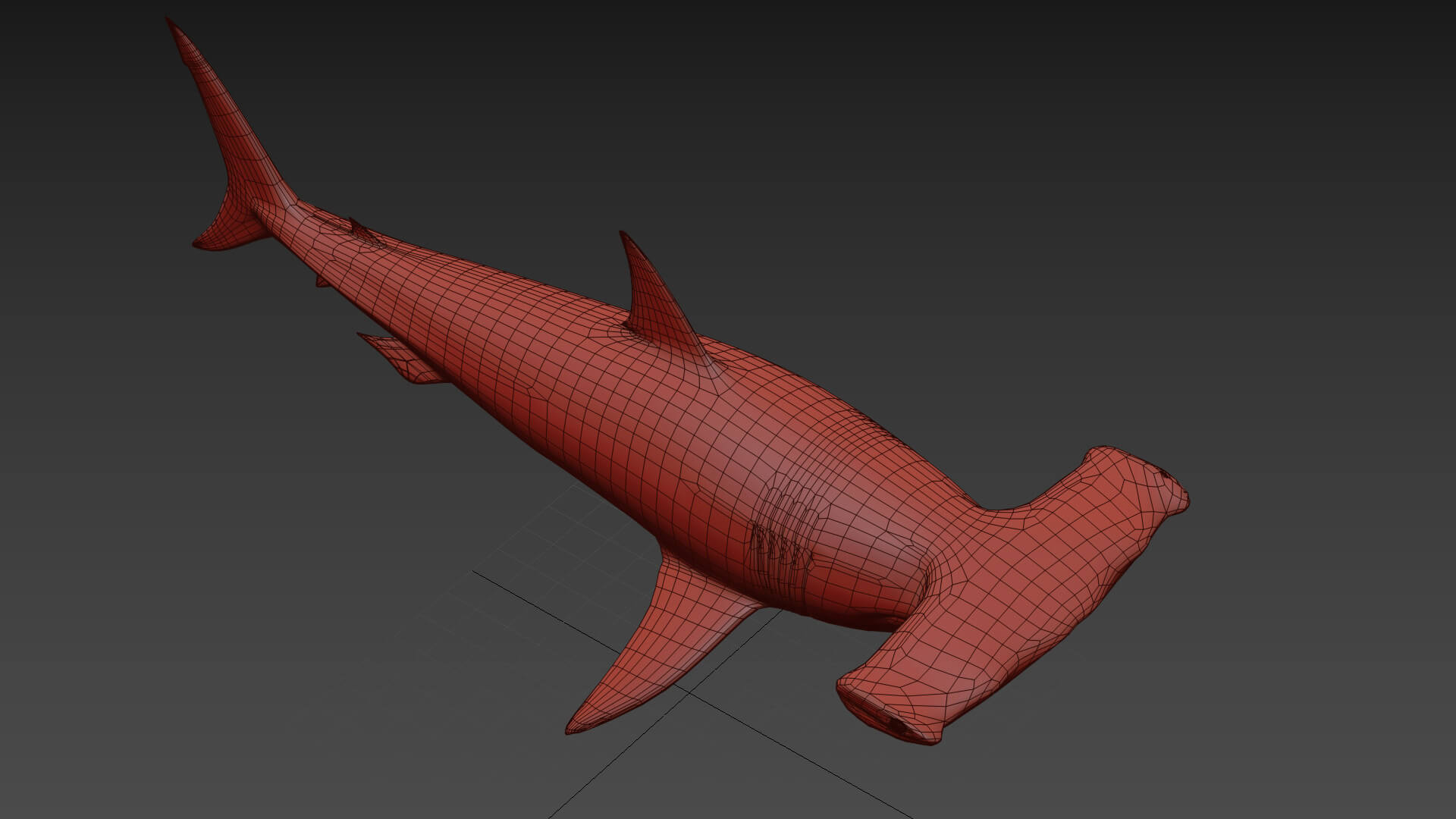 Hammerhead Shark 8K- 3D Animated by Virtual creator