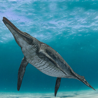 Ichthyotitan-Severnesis 8K Animated Ichthyosaurus