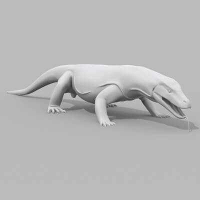 Komodo Dragon Shape