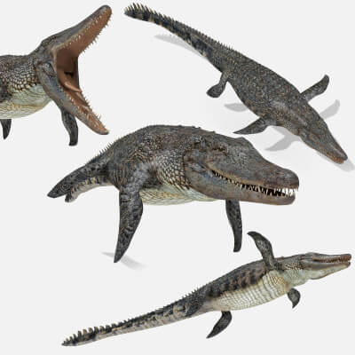 Mathosaurus Rex Ancient Marine Reptile - 8K Animated 3D Model by Virtual creator