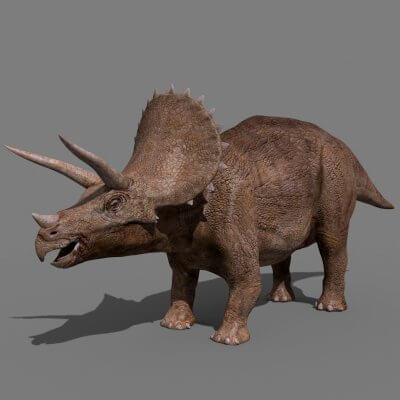 Triceratops Tribute - 8K