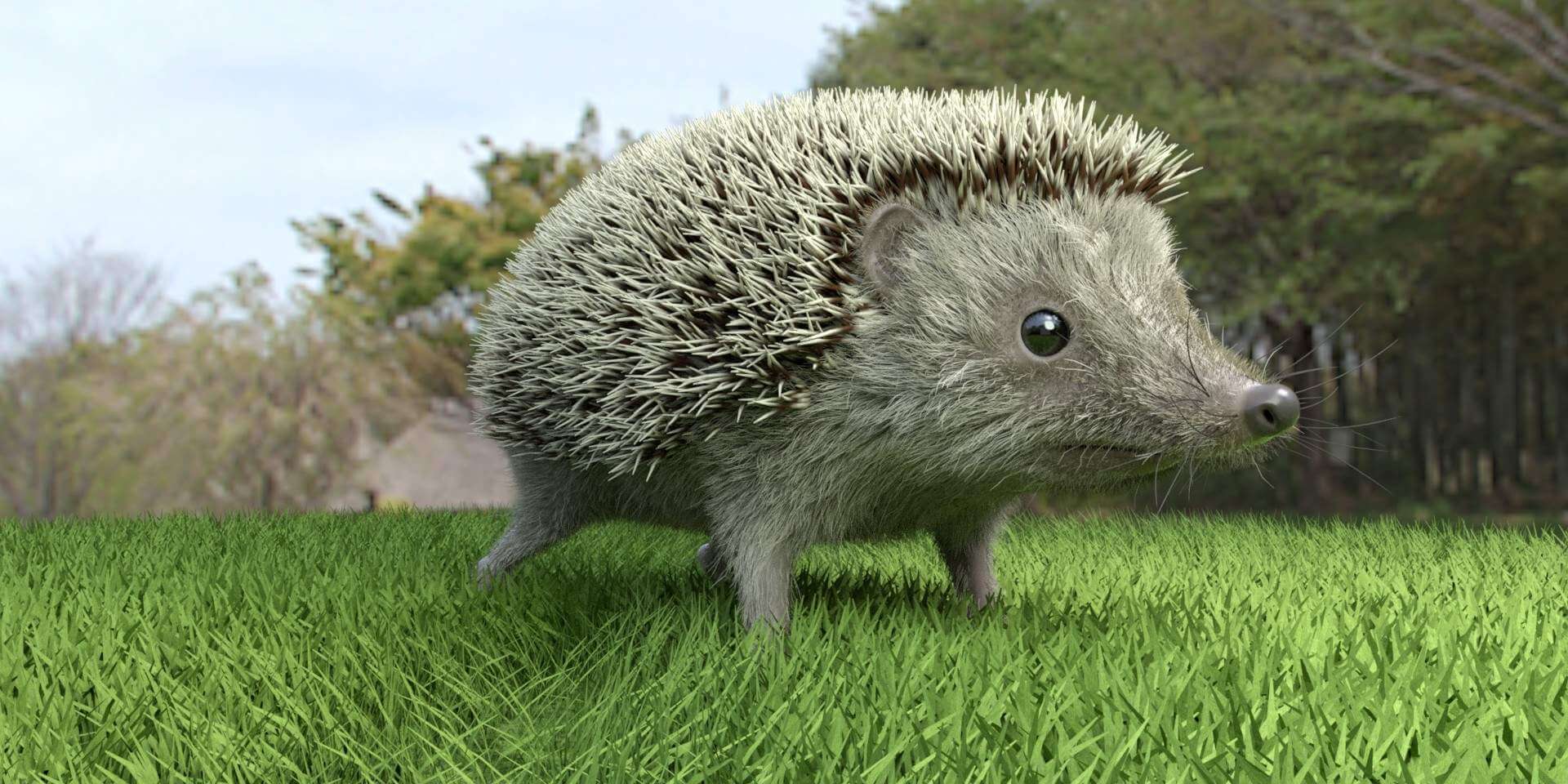 Модель ежика. Длинноиглый ёж. 3д модель ежа. Украшение ежик. Модель ежика.