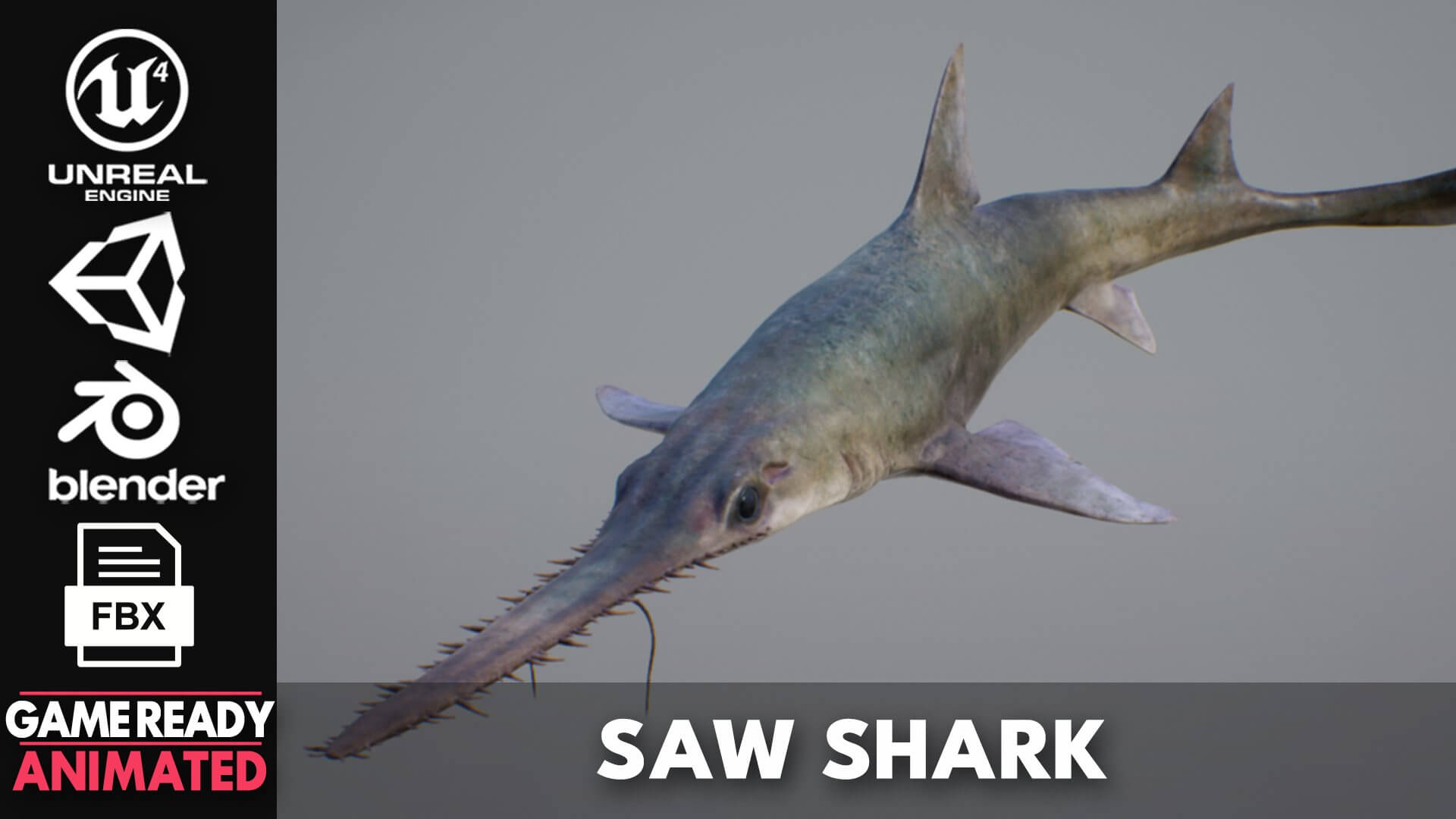 Long Nose Saw Shark