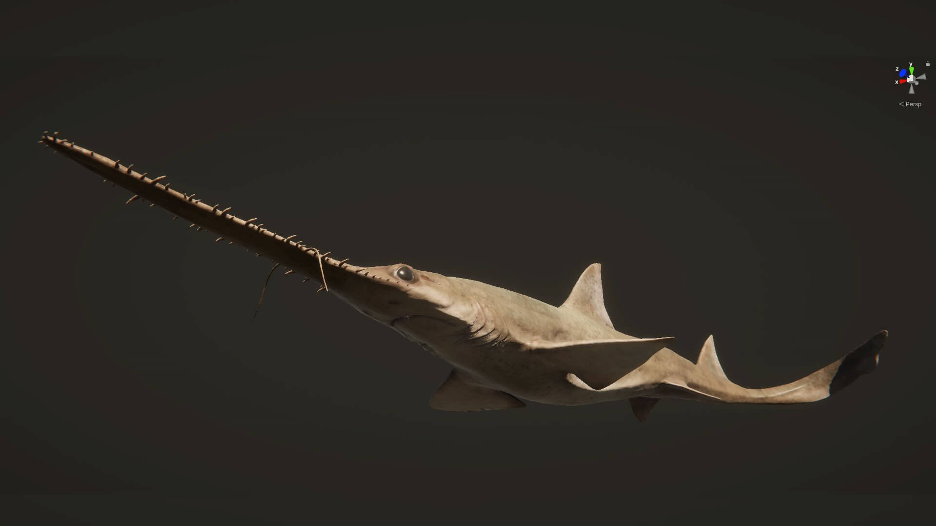 Saw Shark 3D Model by Viverna
