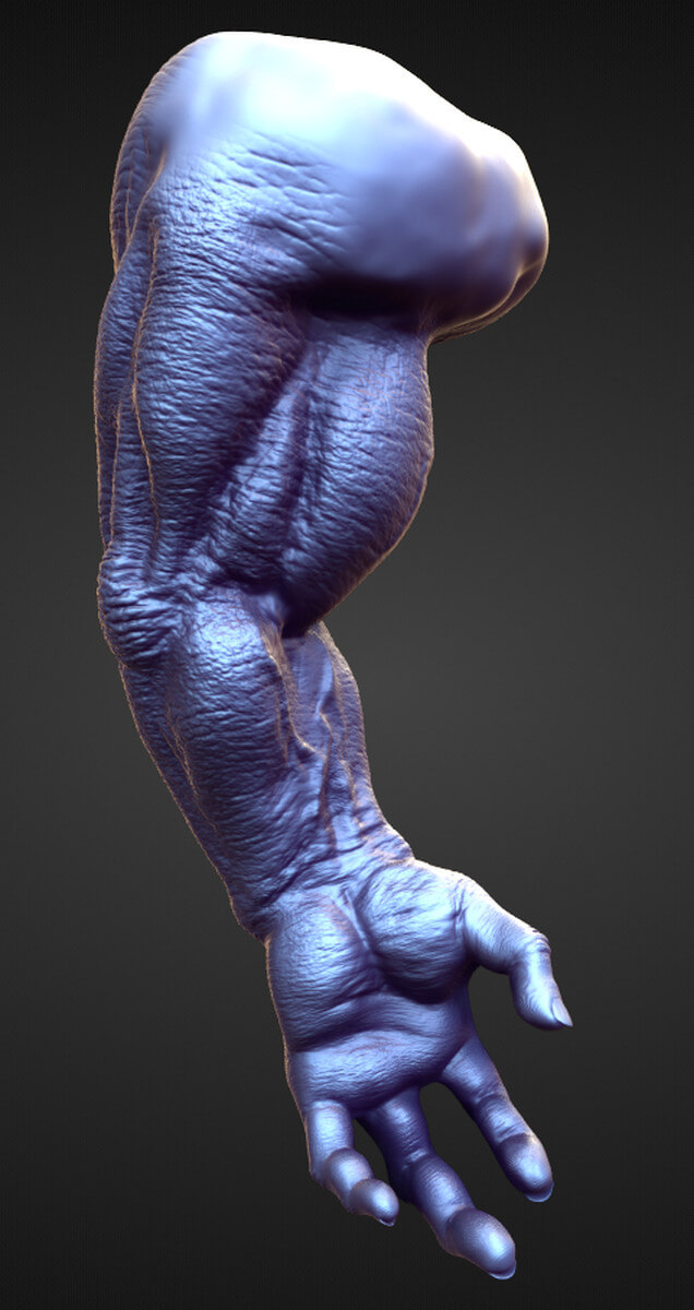 ARM3 High Poly Sculpt - 3D Model by Voltima