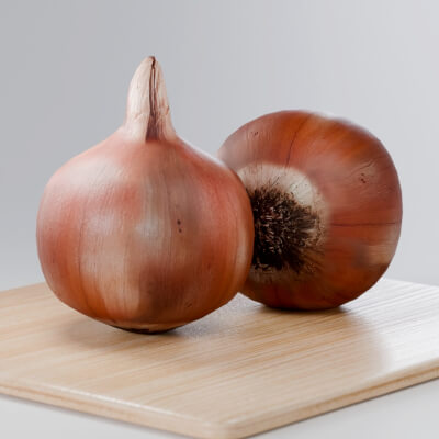 Onion &ndash Photorealistic PBR