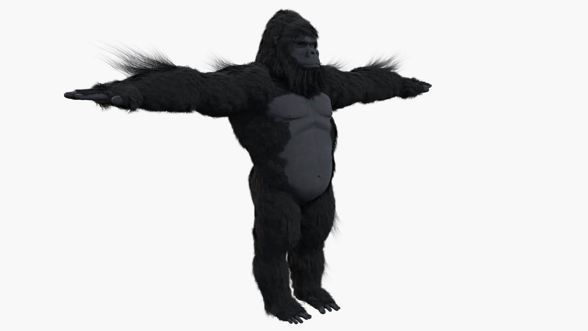 King Kong with Fur - 3D Model by VRTOON