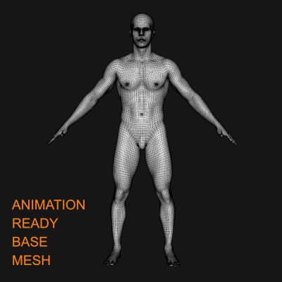 Axel Base Mesh 26000