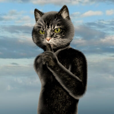 Catoon Black Fur and Texture Addon