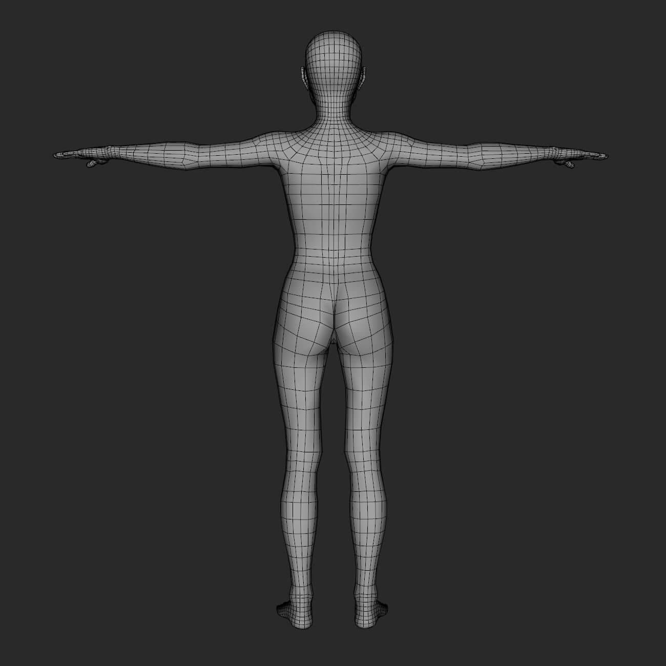 Arm Base Mesh Female Base Mesh - 3D Model by Vyusur