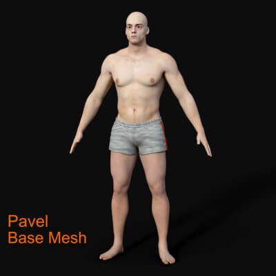 Pavel Base Mesh