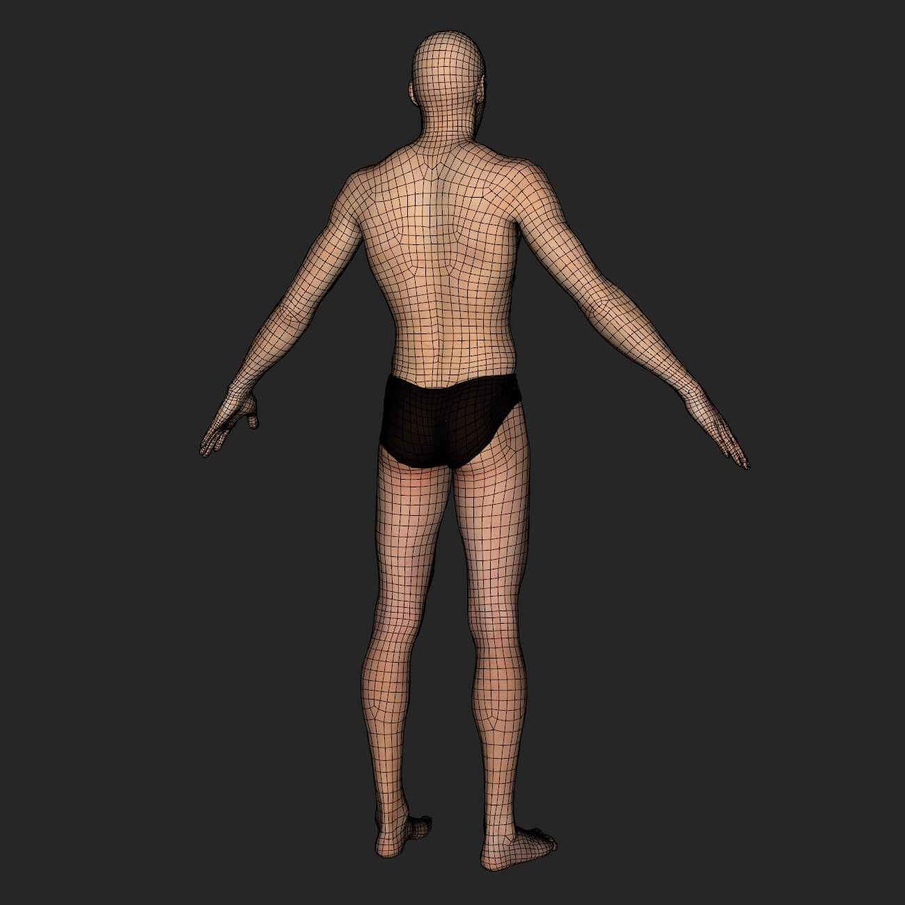 Peter Base Mesh - 3D Model by Vyusur