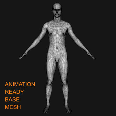 Ris Base Mesh 26000