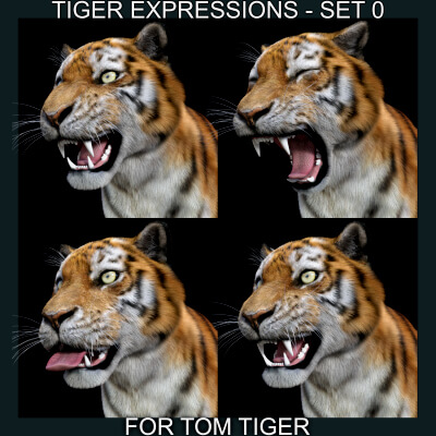 Tiger Expressions Set 0 for Tom Tiger