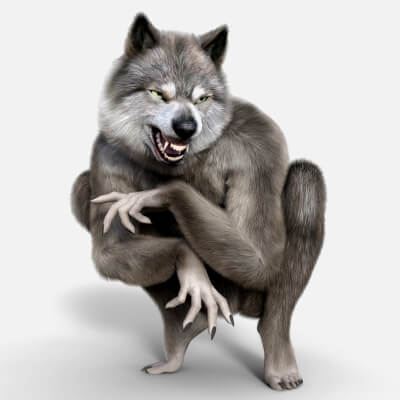 Wolfer Original Figure for DAZ Studio