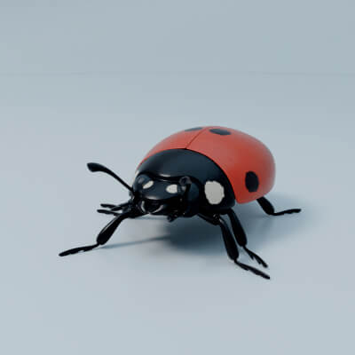 Stylized Ladybug Ladybug Stylized - 3D Model by Witalk73