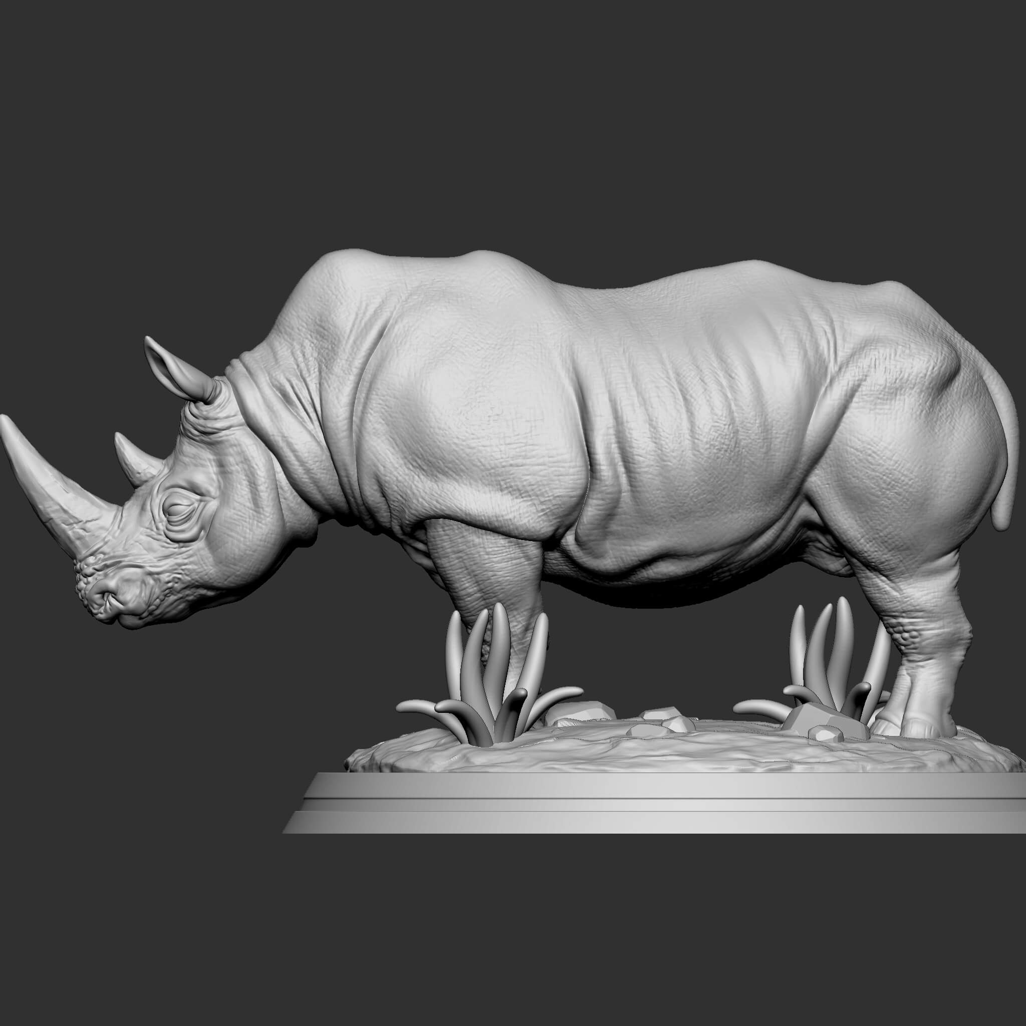 Rhino 3D Print Model by ydstudio96