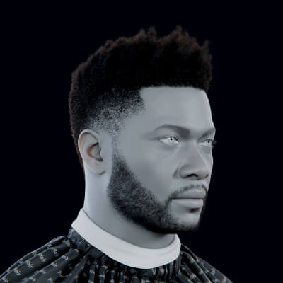 Pixelhair Blender and Unreal Hairstyle - Afro 009 3D Model by Yelzkizi