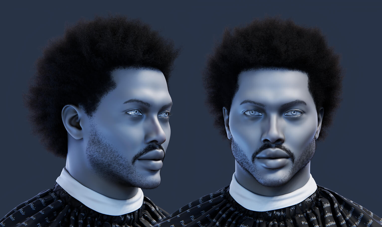 Pixelhair Blender Hairstyle - The Weekend Afro 011 3D Model by Yelzkizi