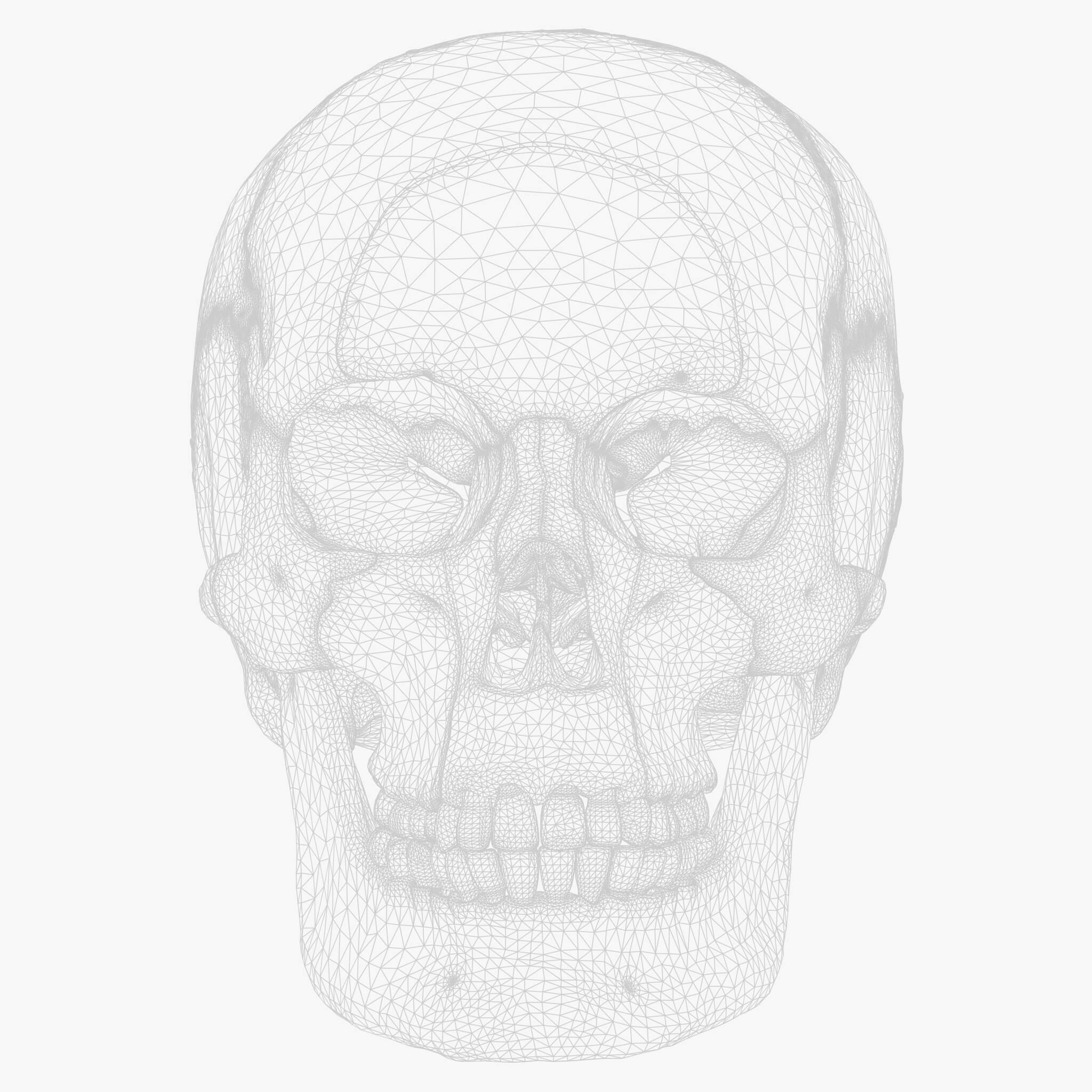 Skull Explode Human Skull Explode Anatomy Atlas V2 - 3D Model by zames1992d