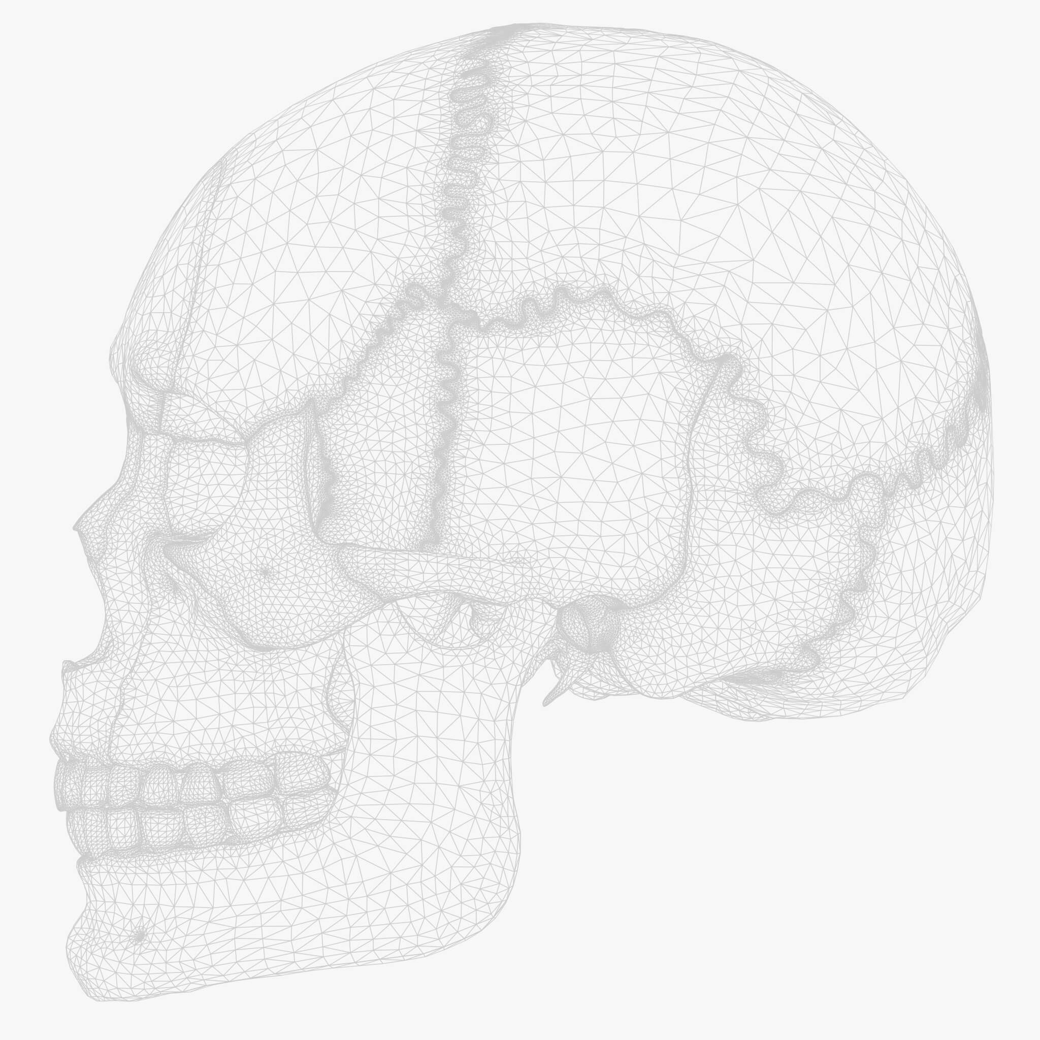 Skull Explode Human Skull Explode Anatomy Atlas V2 - 3D Model by zames1992d