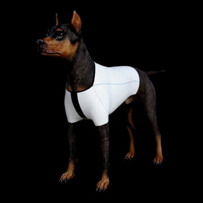 Ben 10 Shirt for Daz Dog 8