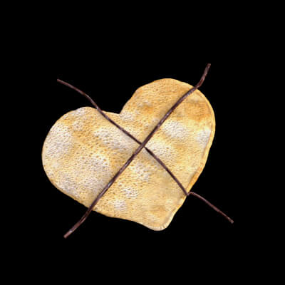 Heart Shaped Pancake Nine